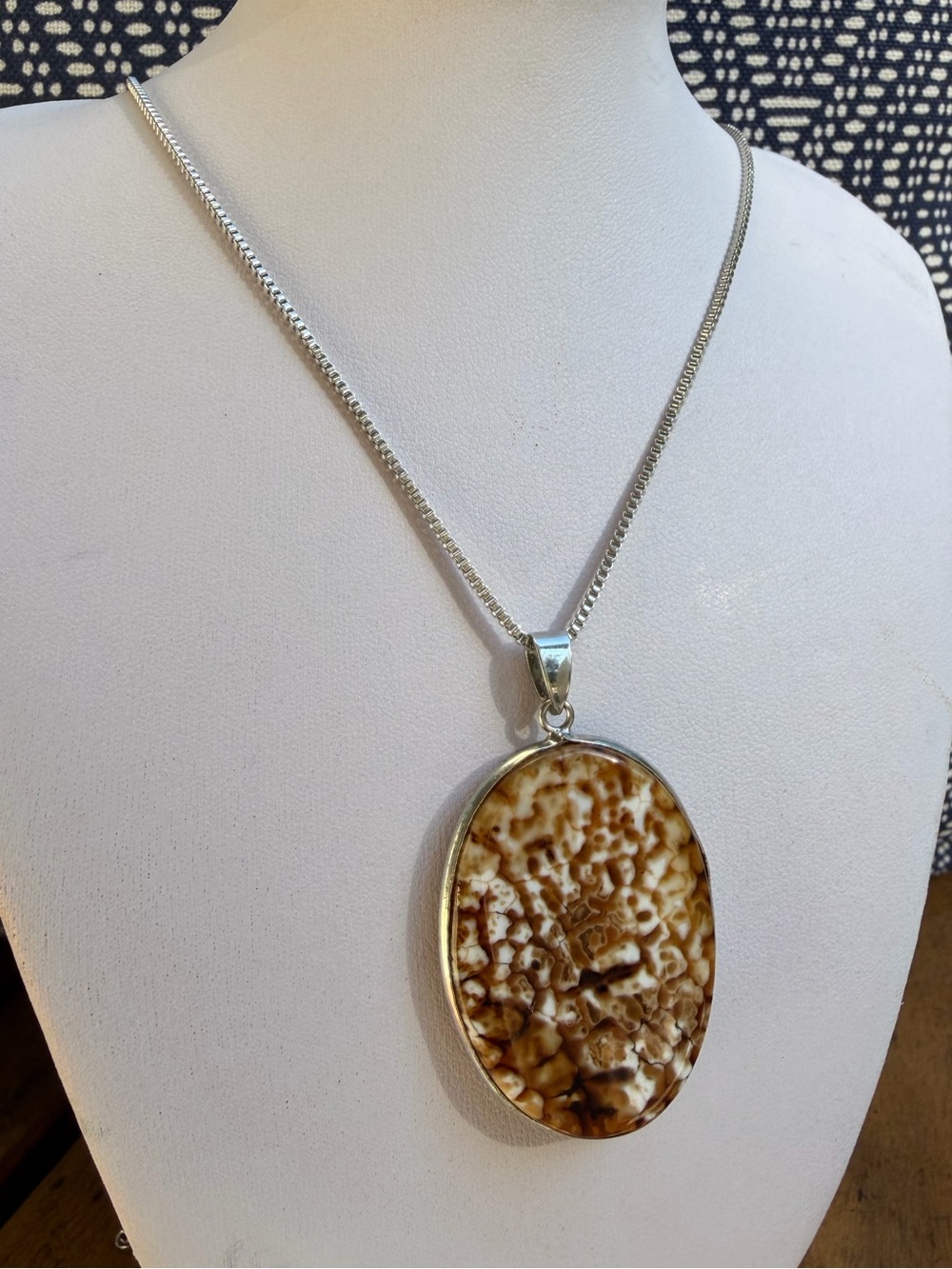 Large Picture Agate and Silver Pendant Necklace